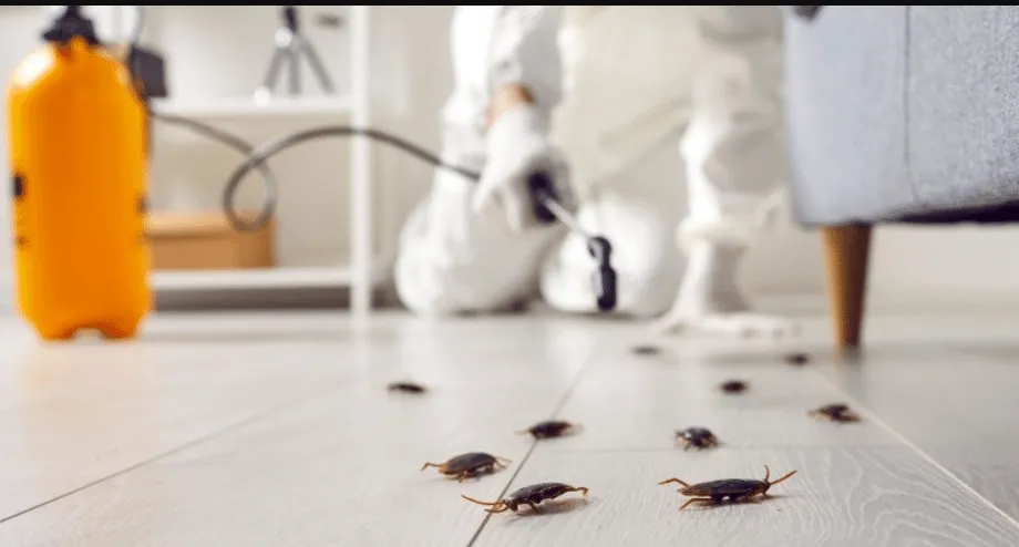 Targeted Cockroach Control