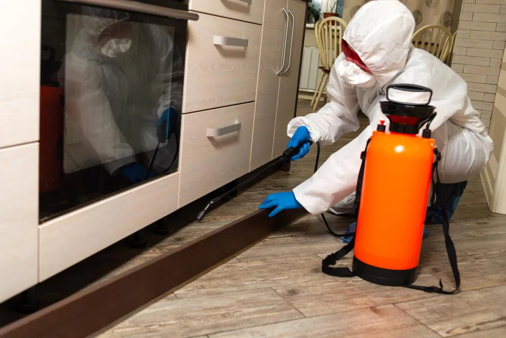 Termite Treatments